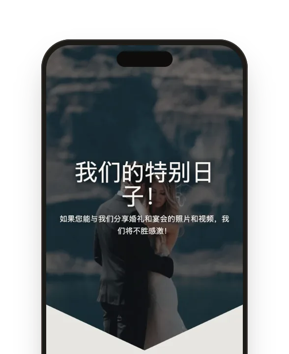 相册：按文件夹整理的宾客照片网格。